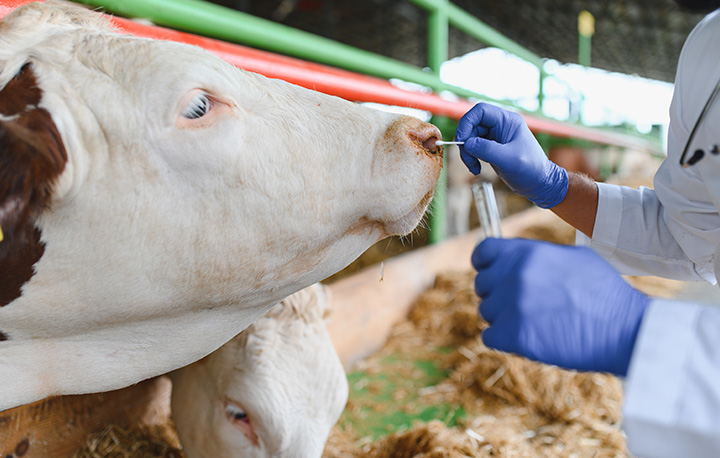 Agriculture-and-Animal-Health1.jpg