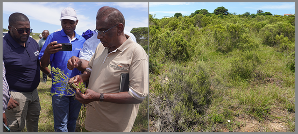 Agricultural%20resilience%20and%20sustainability%20in%20the%20Eastern%20Cape_body.png