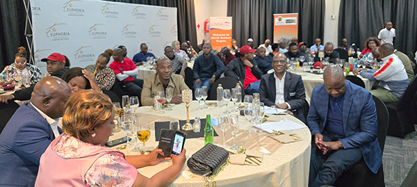 B1_Unisa%20local%20government.png