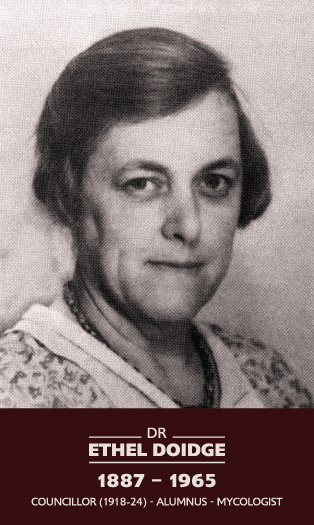 Ethel Doidge
