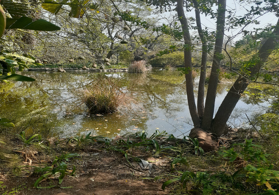 Groenkloof Park in Pretoria